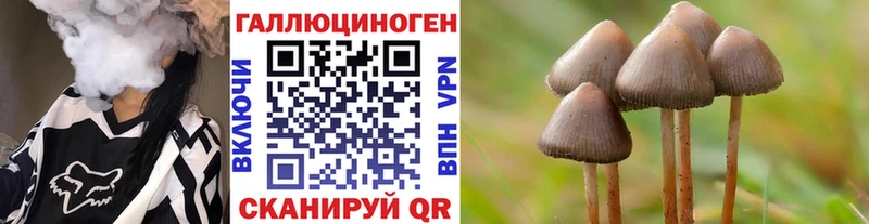 блэк спрут ONION  где найти наркотики  Нижнеудинск  Галлюциногенные грибы мухоморы 