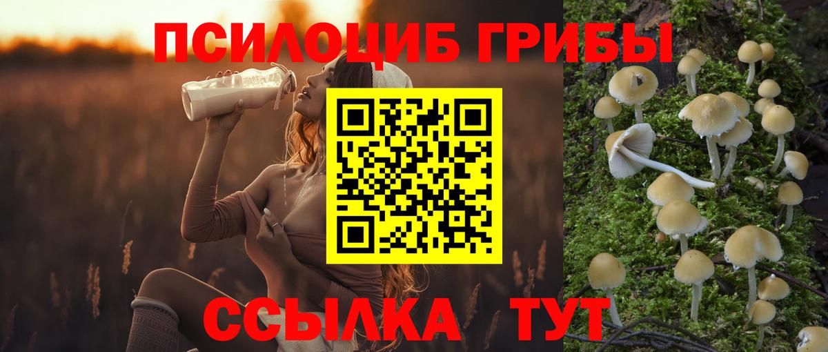 Галлюциногенные грибы Cubensis  Вход с VPN  Нижнеудинск 